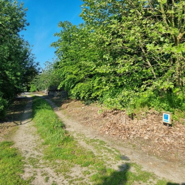 Haspengouwse Camperplaats — Photo 6