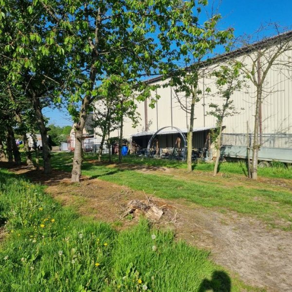 Haspengouwse Camperplaats — Photo 5