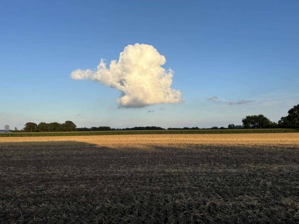 Pferdehof Beck — Foto 3