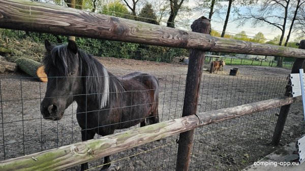 Camper Ranch Otje — Photo 6