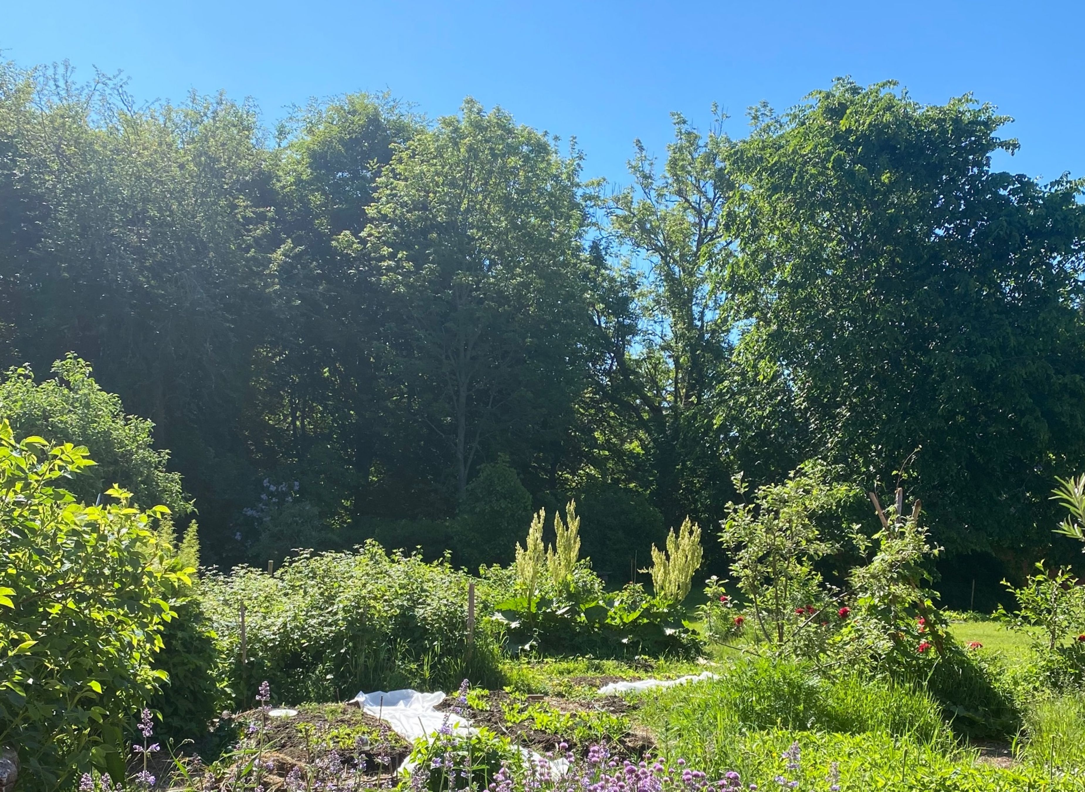Hemma på Hult — Campingplass in Tranås kommun