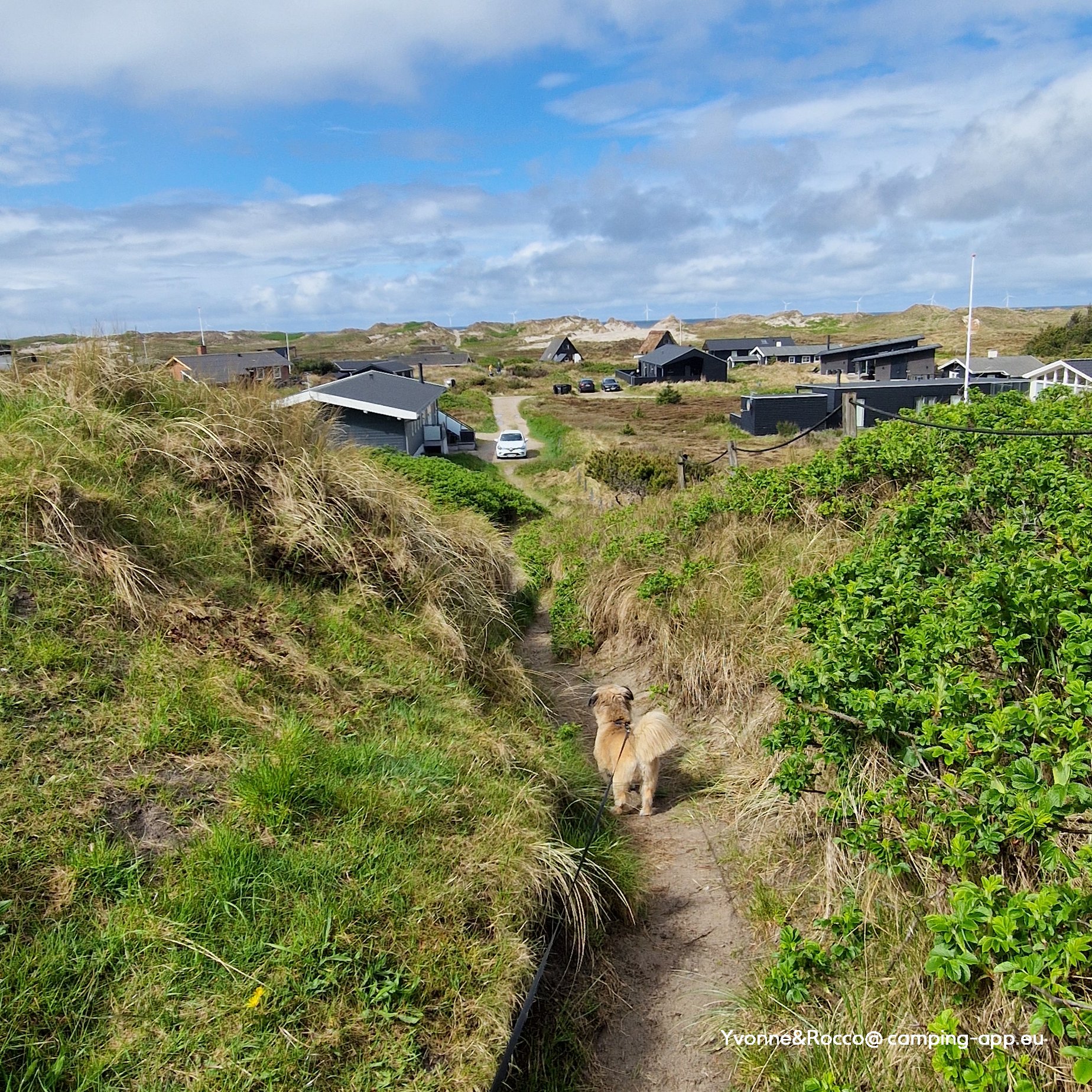 Søndervig Camping — Foto 2
