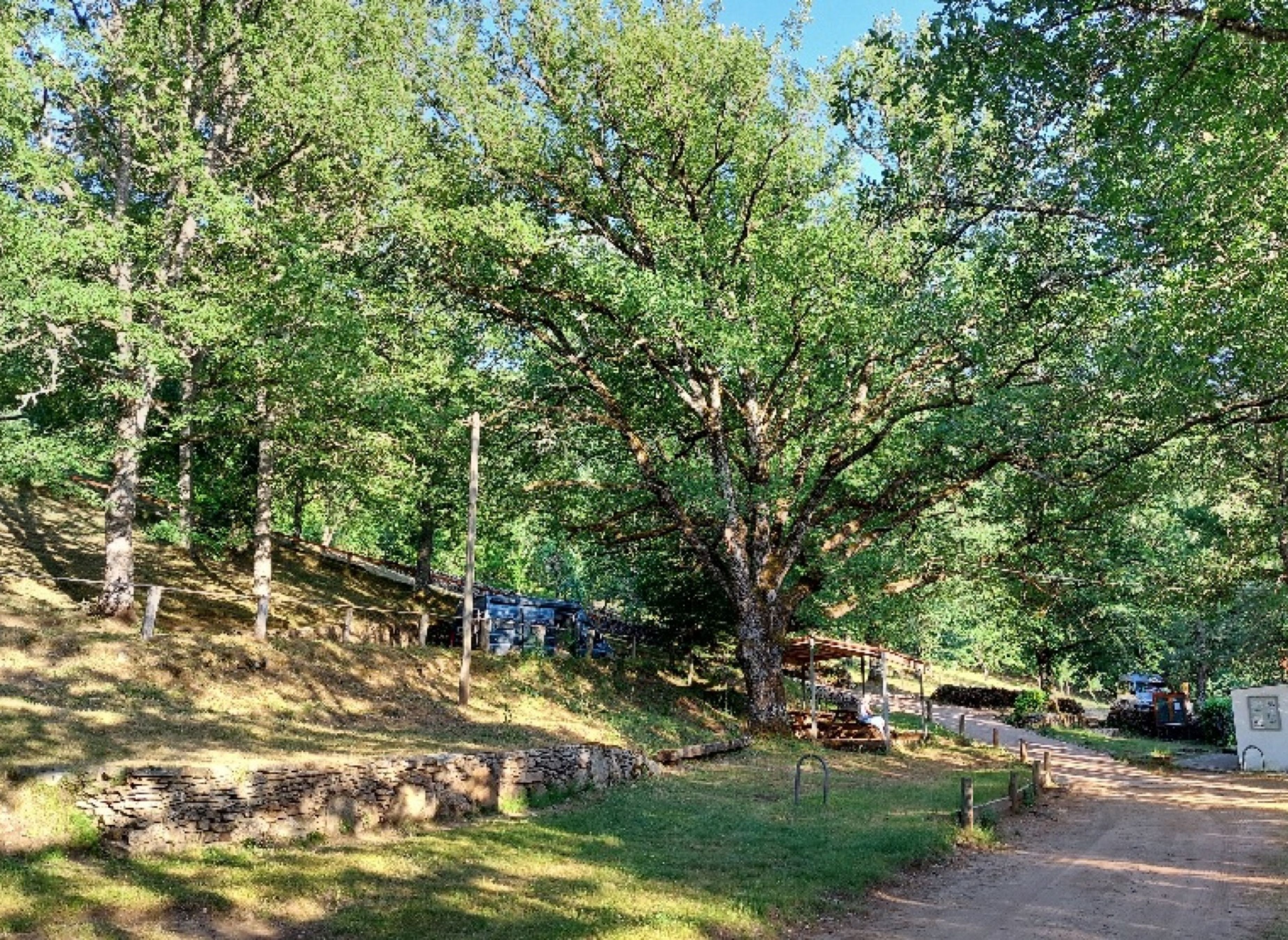 Camping Minocchi — Sítio de acampamento in Bastelica