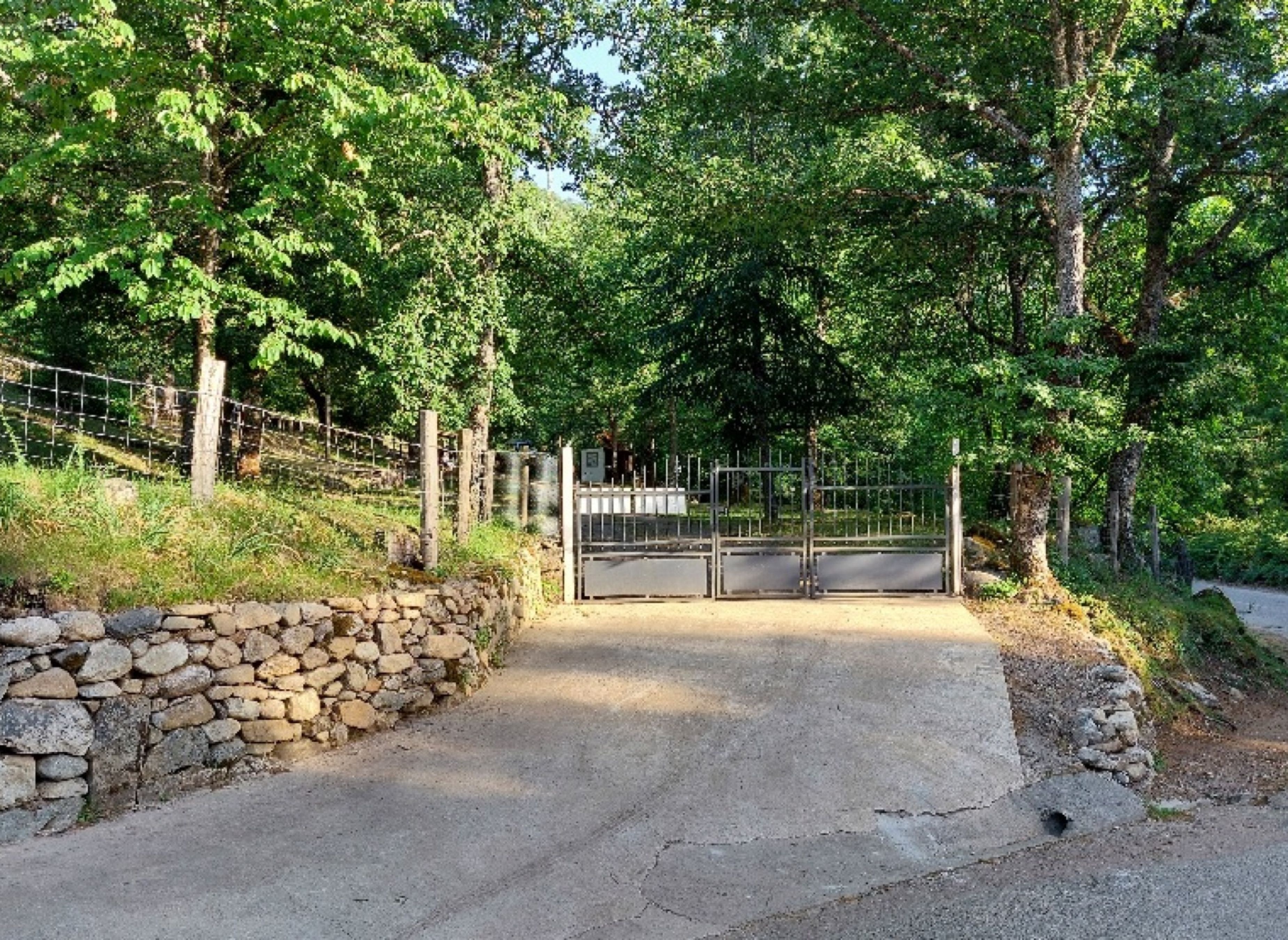 Camping Minocchi — Campingplads in Bastelica