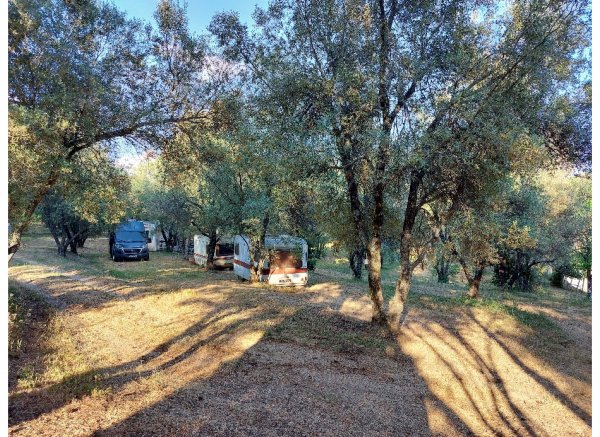 Camping La Sposata — Foto 2