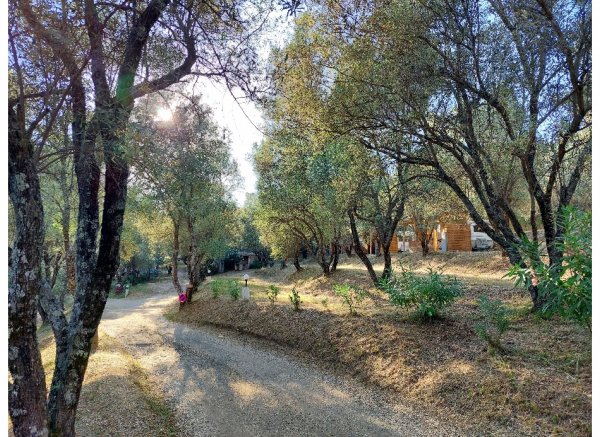 Camping La Sposata — Foto 4
