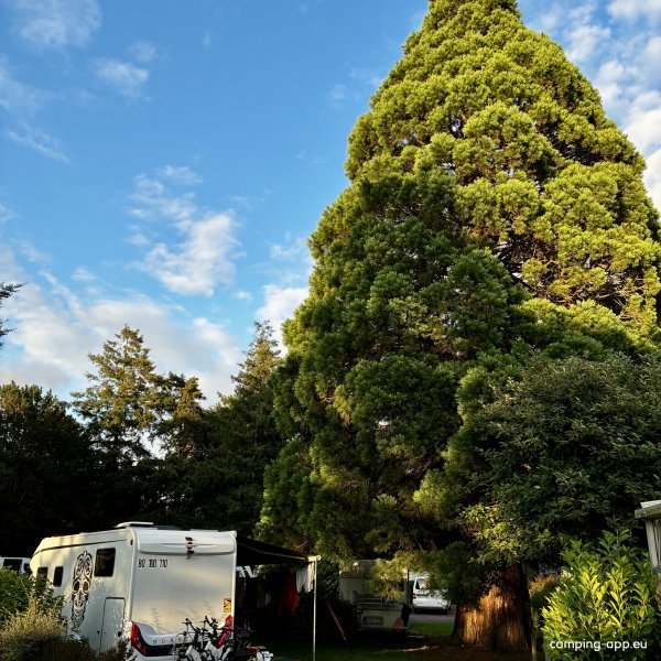 Camping Municipal des Bords de l'Aure *** — Photo 4