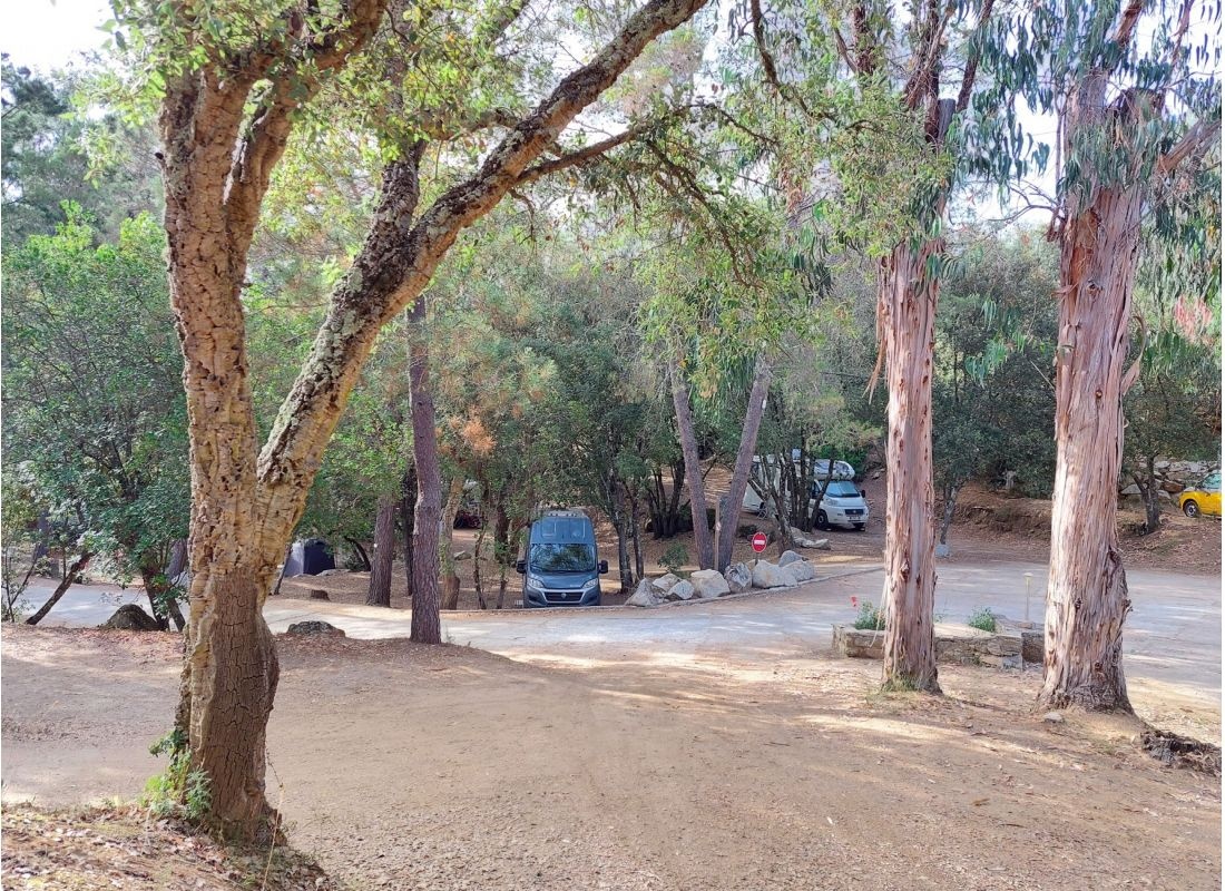 Camping Olva, Nähe Sartene — Camping Site in Sartène