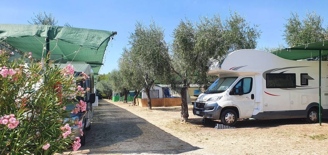 Camping Fontana delle Rose — Kemping in Mattinata