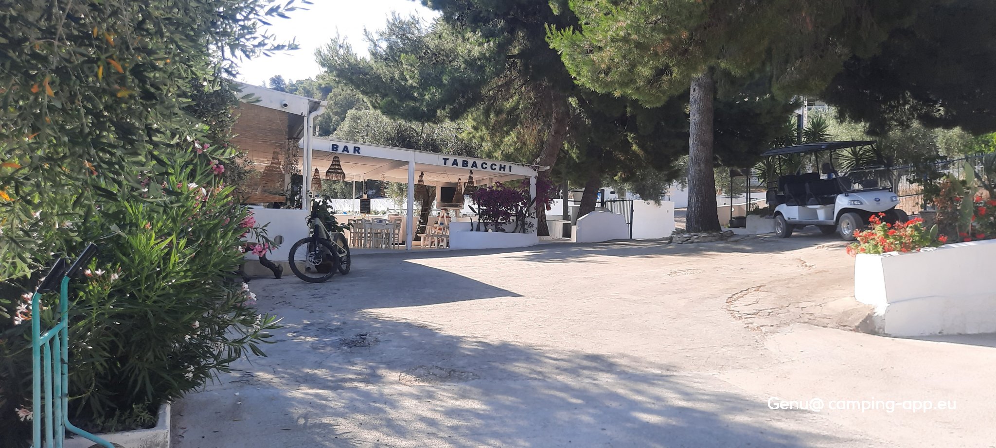 Camping Vignanotica — Foto 3