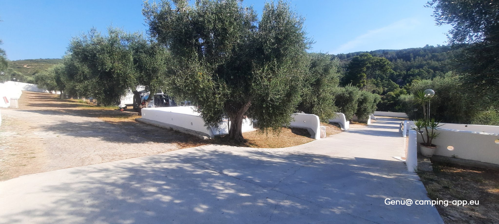 Camping Vignanotica — Foto 5