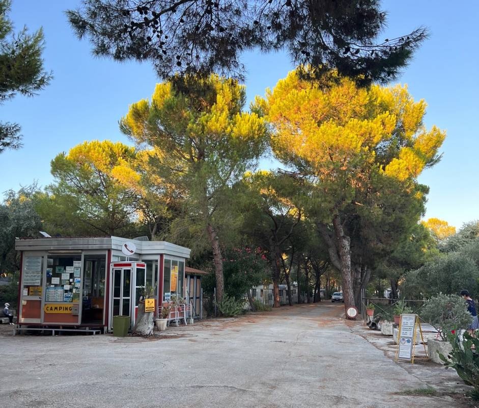 Camping Tellina — Kemping in Sciali