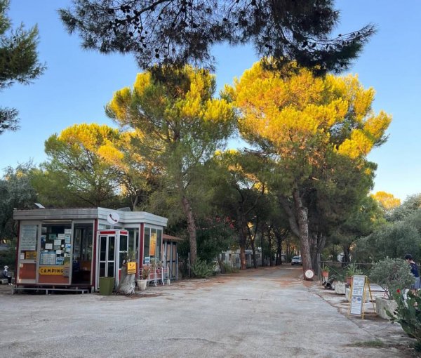 Camping Tellina — Foto 5