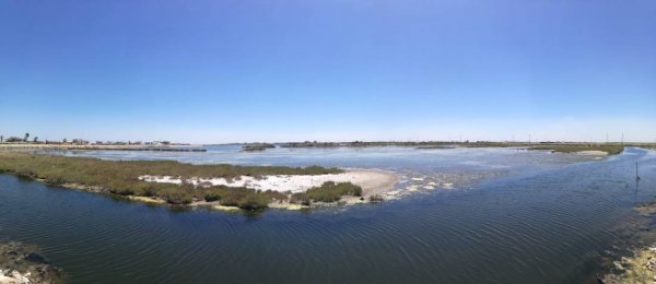 Camping Ippocampo - Lido Bluemarine — Photo 2