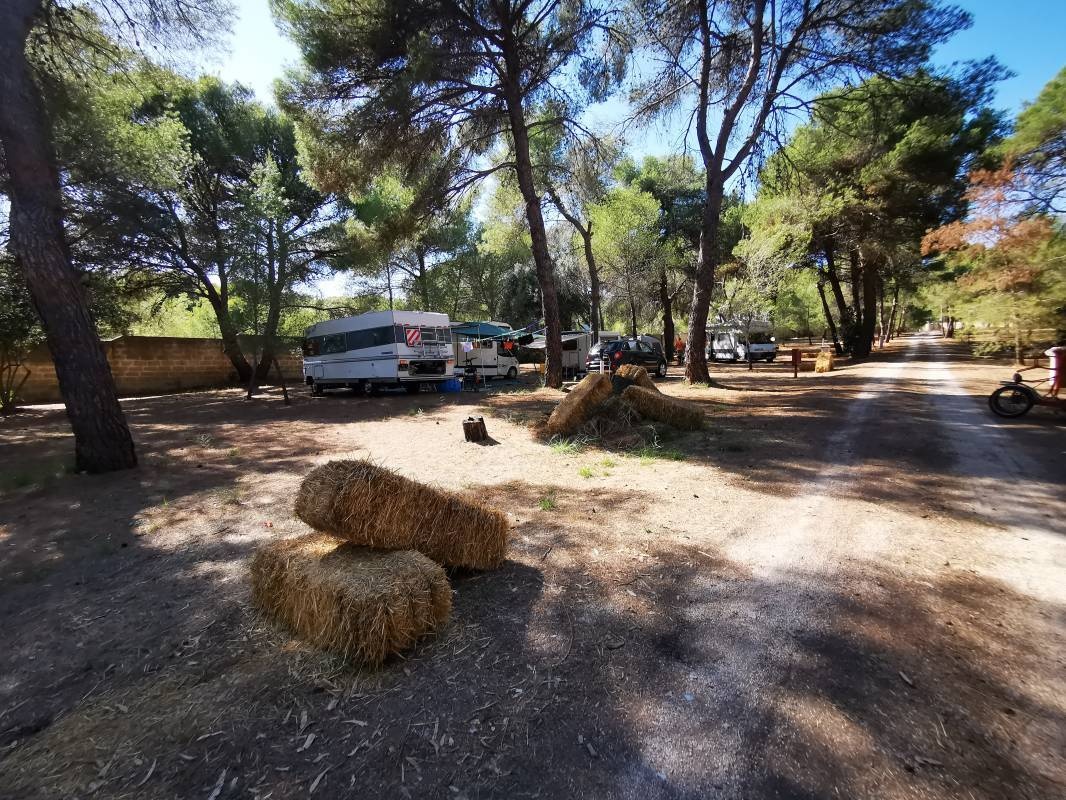 Villaggio Tiziana Camping — Sítio de acampamento in Manduria