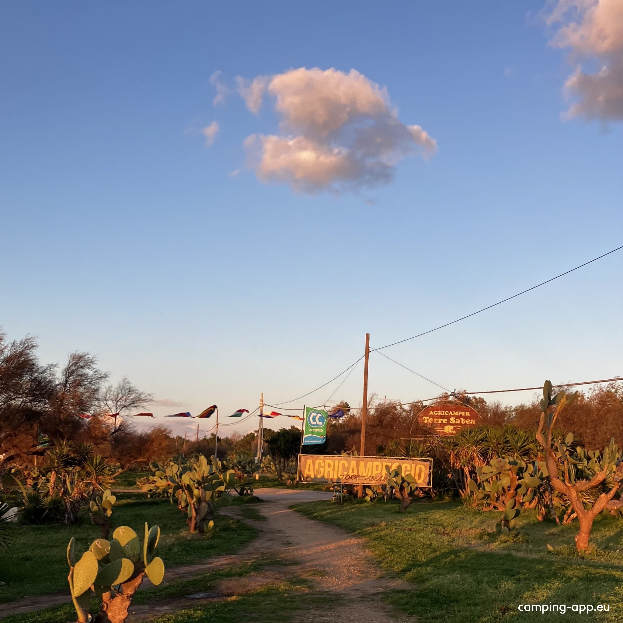 Agricampeggio & Glamping Torre Sabea — Sítio de acampamento in Gallipoli