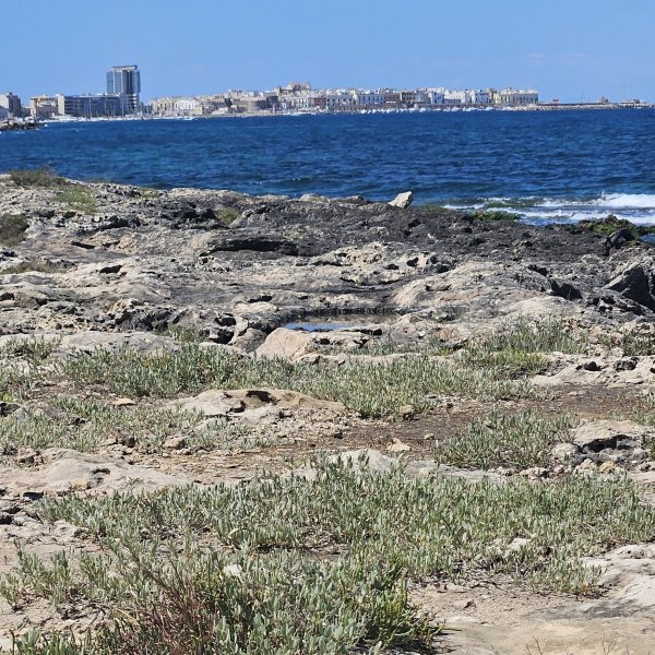 Agricampeggio & Glamping Torre Sabea — Photo 6