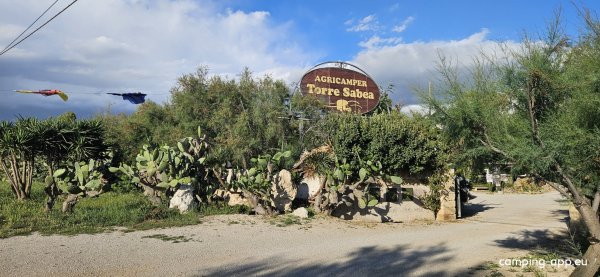 Agricampeggio & Glamping Torre Sabea — Photo 3