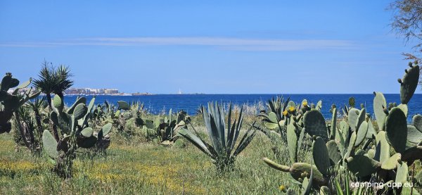 Agricampeggio & Glamping Torre Sabea — Photo 5