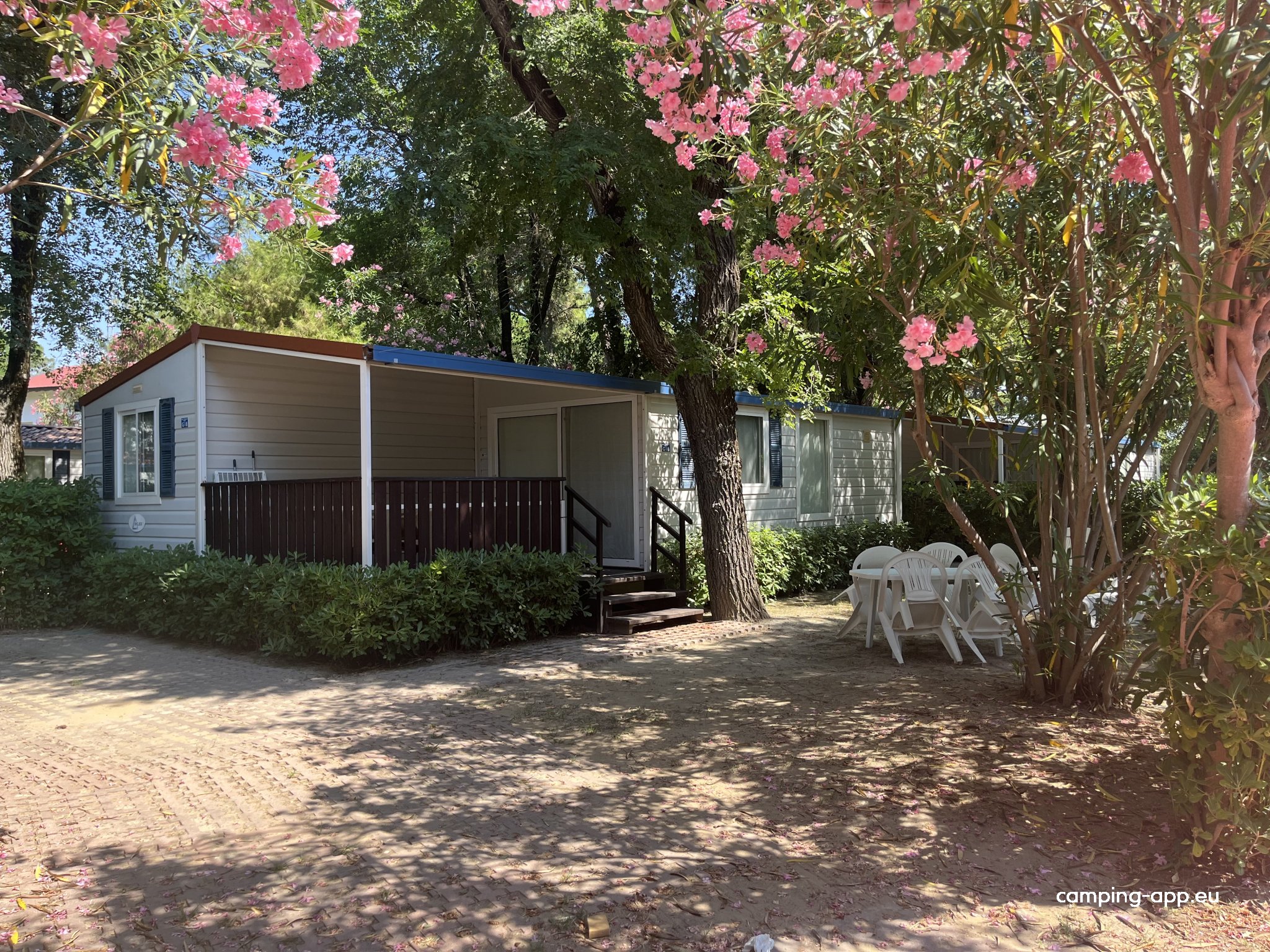 Camping Pino Mare — Foto 4