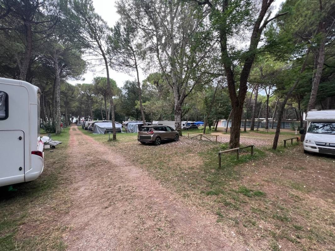 Camping Village Belvedere Pineta — Campingplatz in Belvedere Grado