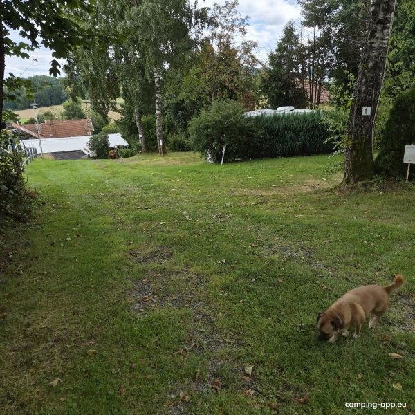 Klein-Camping Arberblick — Zdjęcie 2