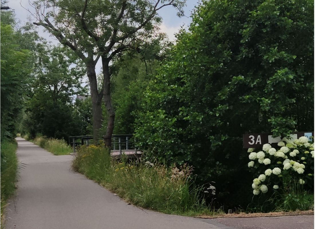 Camperplaats de Limes — Stellplatz in Leiden