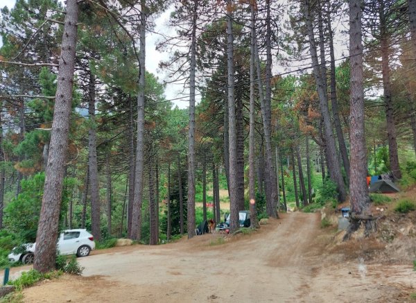 Camping U Valdo — Photo 6