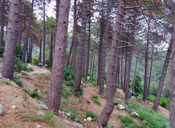 Camping U Valdo — Foto 5