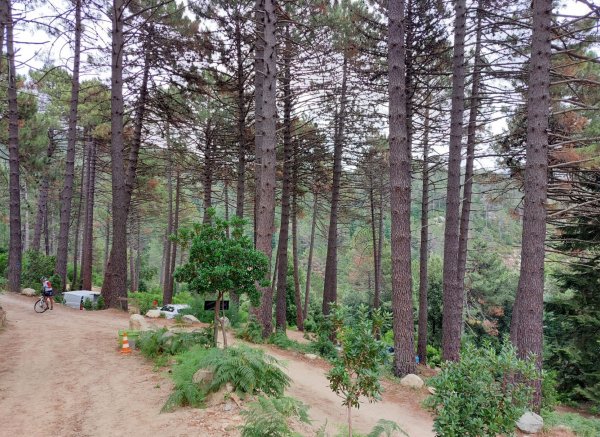 Camping U Valdo — Foto 4