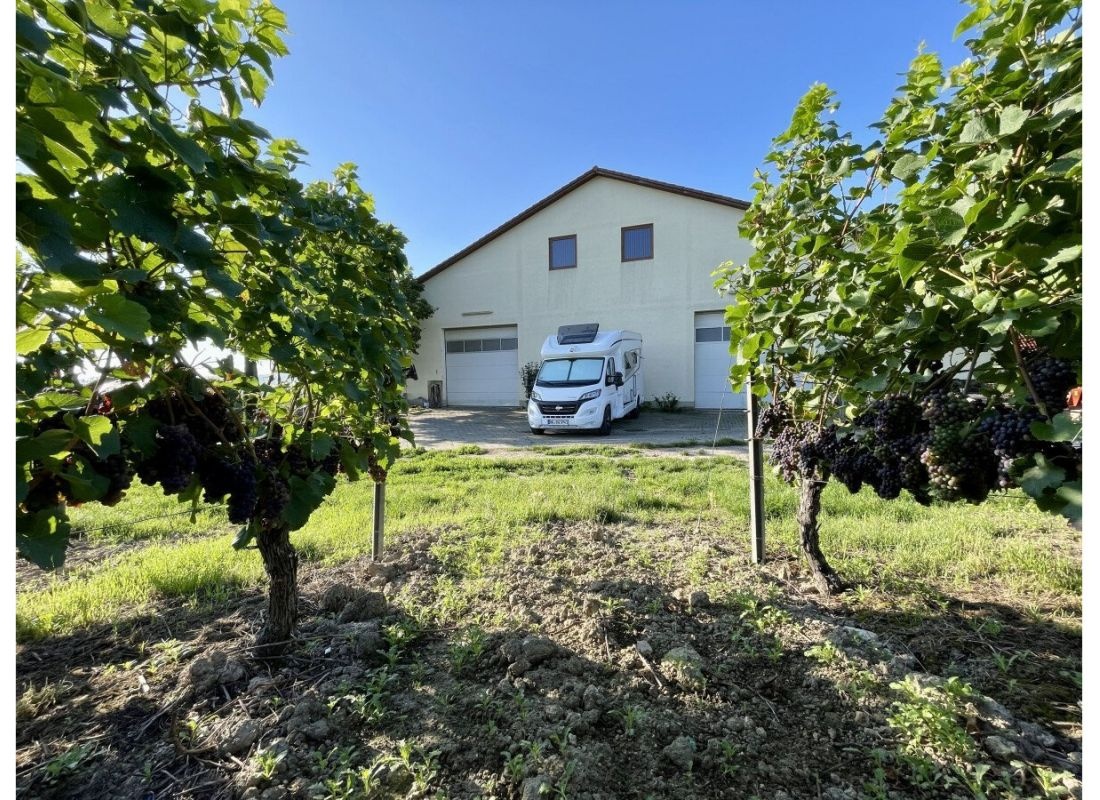 Weingut Diehl-Blees — Winery in Jugenheim