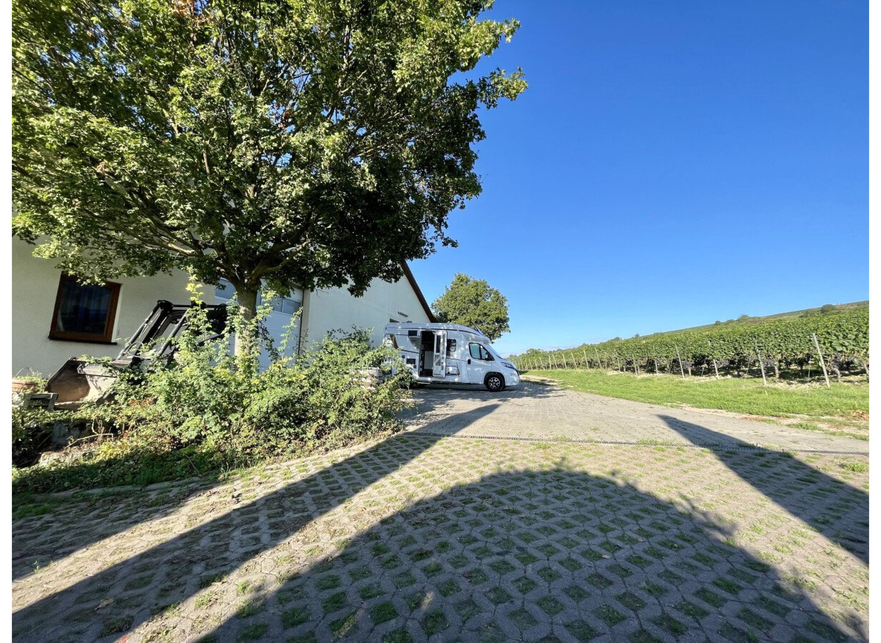 Weingut Diehl-Blees — Weingut in Jugenheim