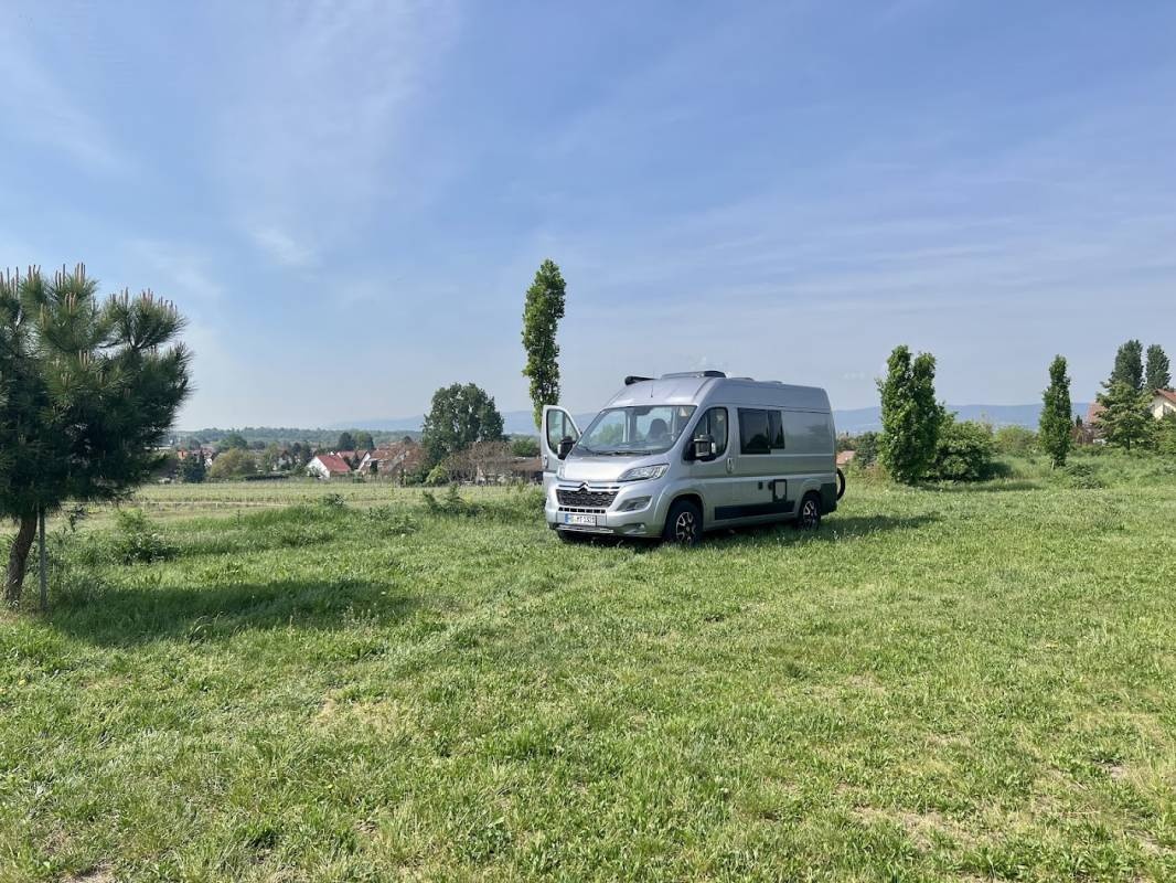 Weingut Langenwalter — Vinícola in Weisenheim