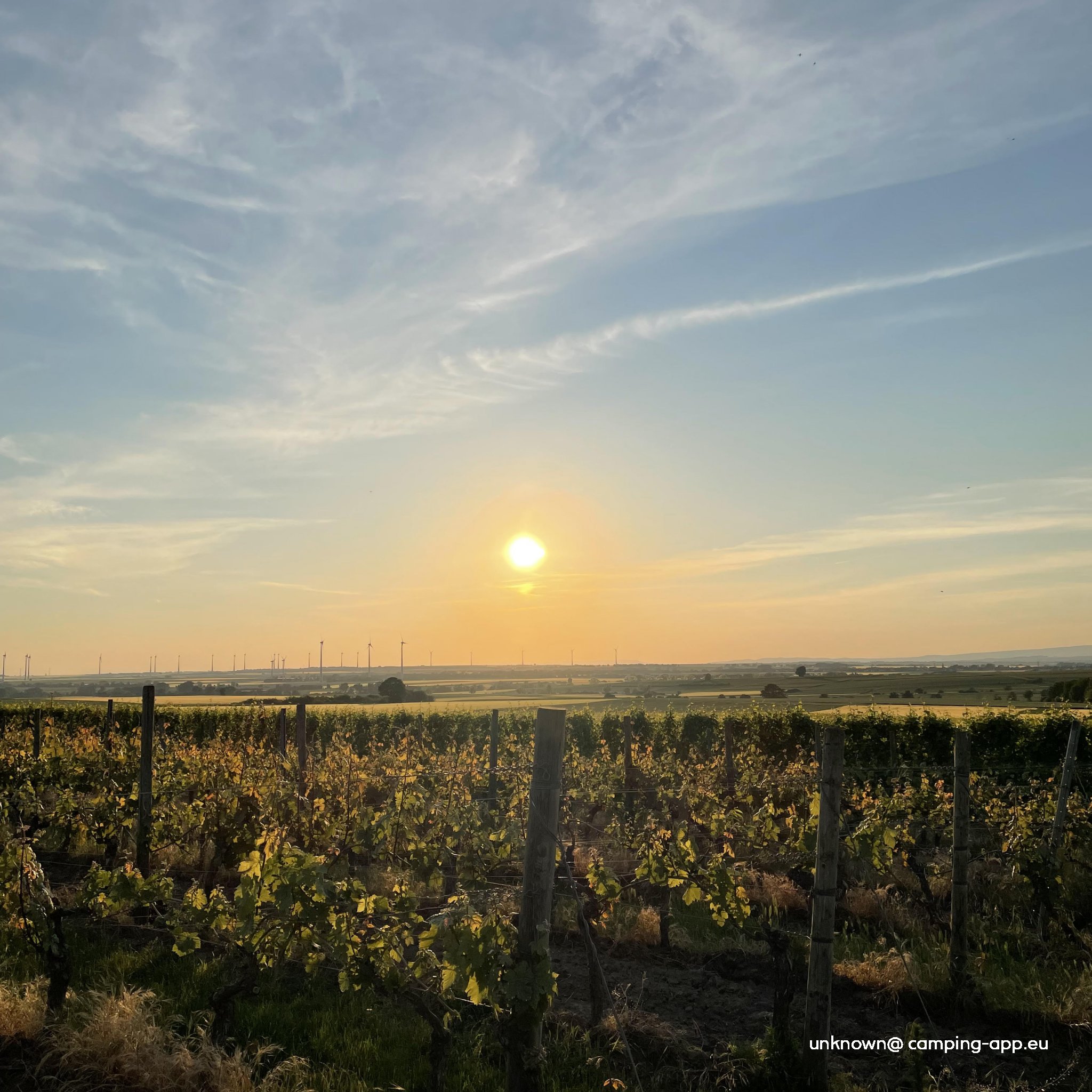 Weingut Merteshof - Hartmut und Eric Gröhl GbR — Photo 4