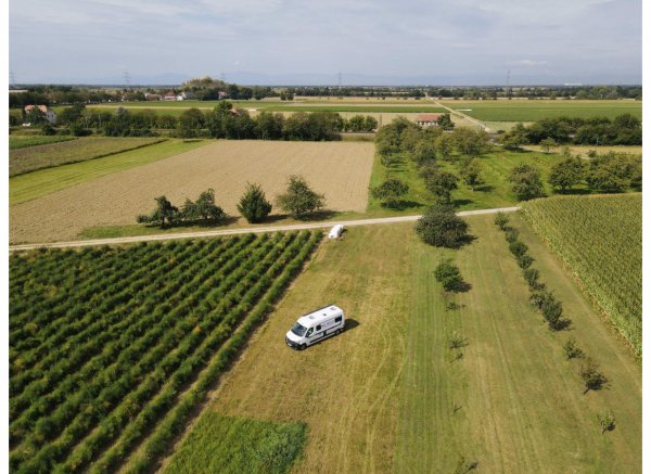 Weingut Noll & im sonnigen Markgräflerland