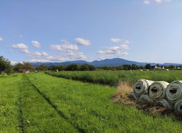 Weingut Noll & im sonnigen Markgräflerland — Photo 2