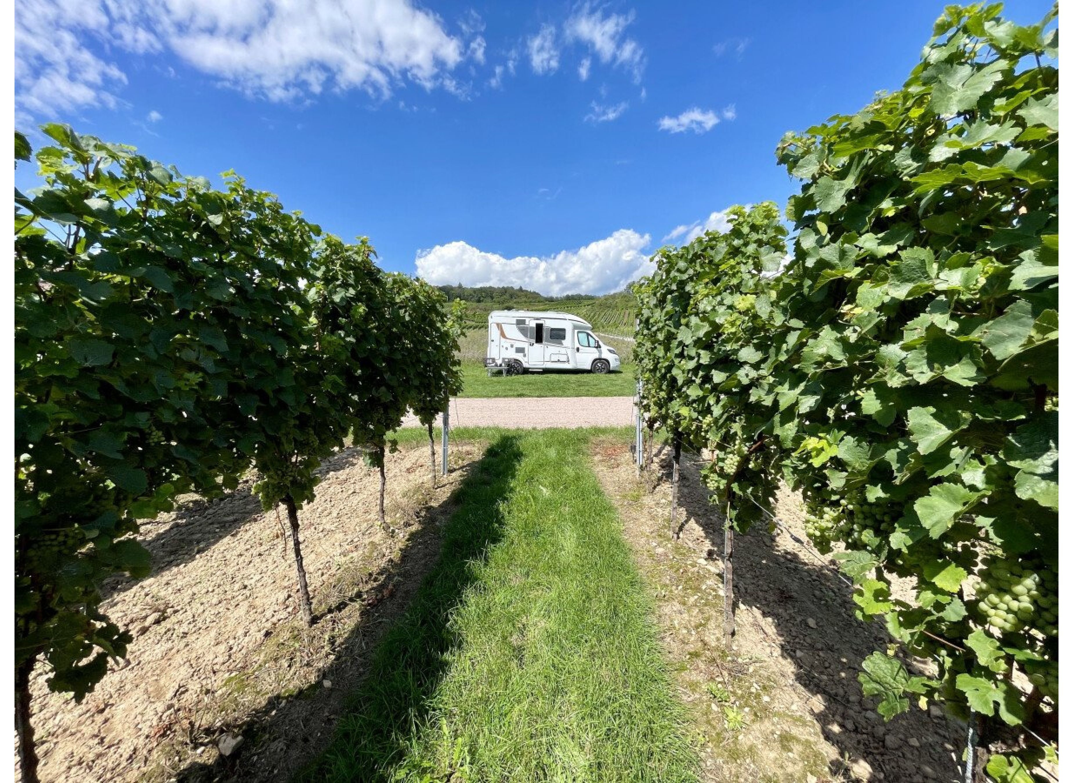 Weingut Rheingrafenhof — Vineri in Frei-Laubersheim