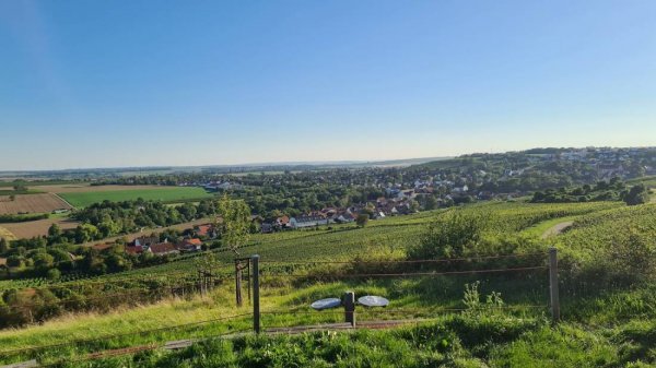Weingut Thomas Lorch - Westerheymer Hof — Zdjęcie 6