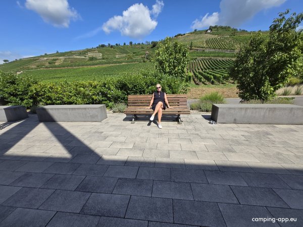 Winzergenossenschaft Achkarren