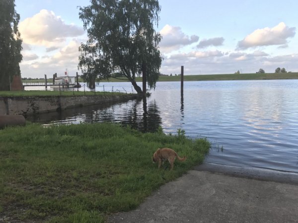 Elbepark Bunthaus — Photo 4