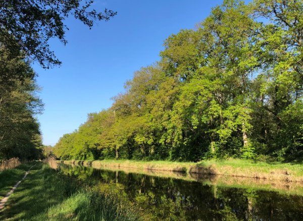 Stellplatz Vitry-aux-Loges — Photo 2