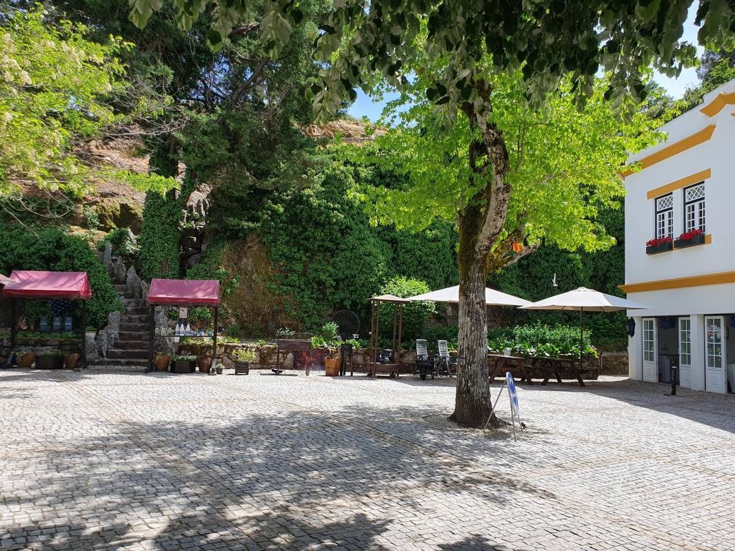 Camping Lamego — Campingplads in Lamego (Almacave e Sé)