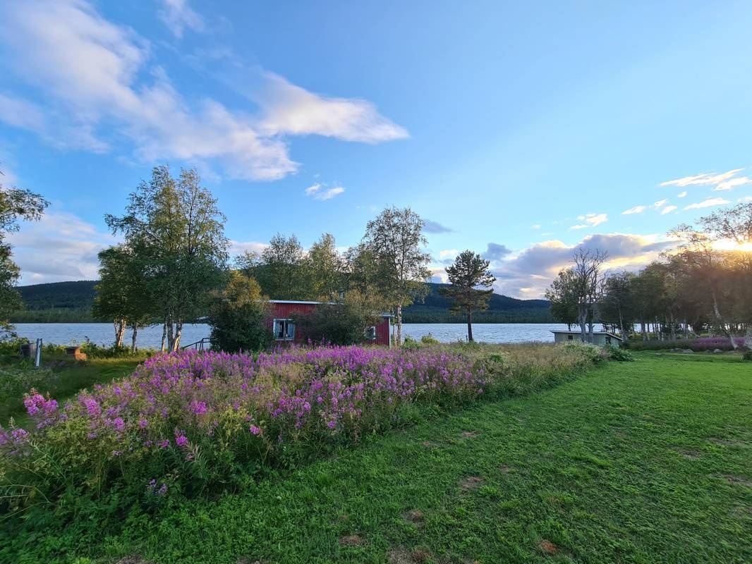 Sjöstjärnan Camping — Місце для кемпінгу in Arvidsjaur