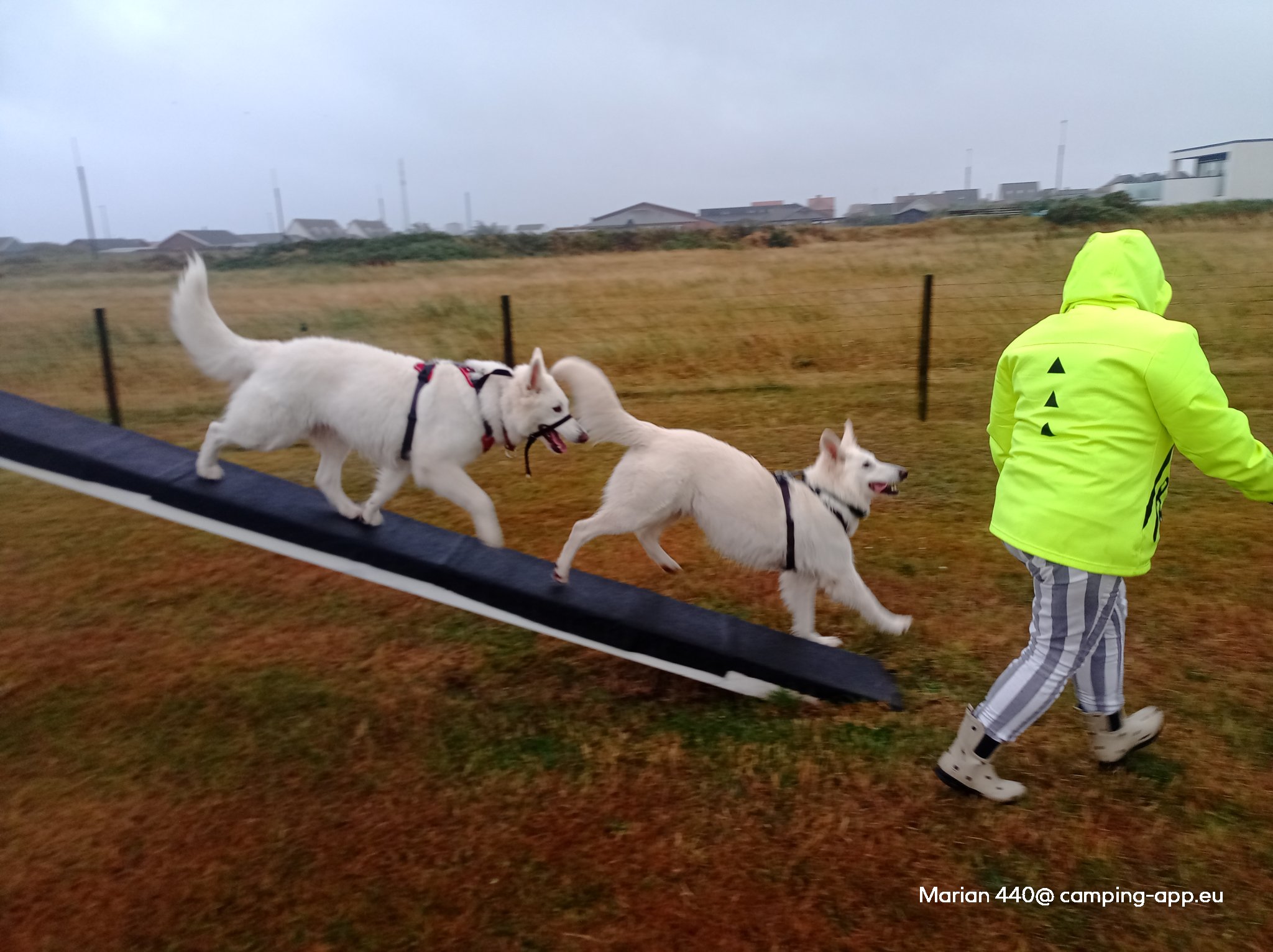 Thorsminde Camping — Fotografie 2