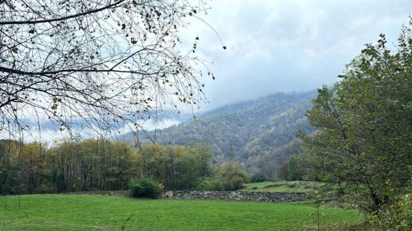 Camping Gottardo — Foto 5