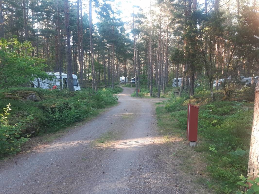Läckö Slott Camping — Campingplads in Lidköpings kommun