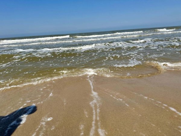 De Heide — Photo 2