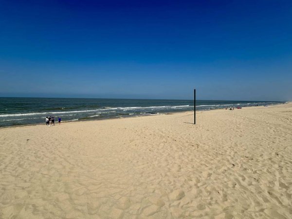 De Heide — Photo 5