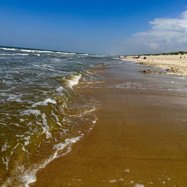 De Heide — Photo 3