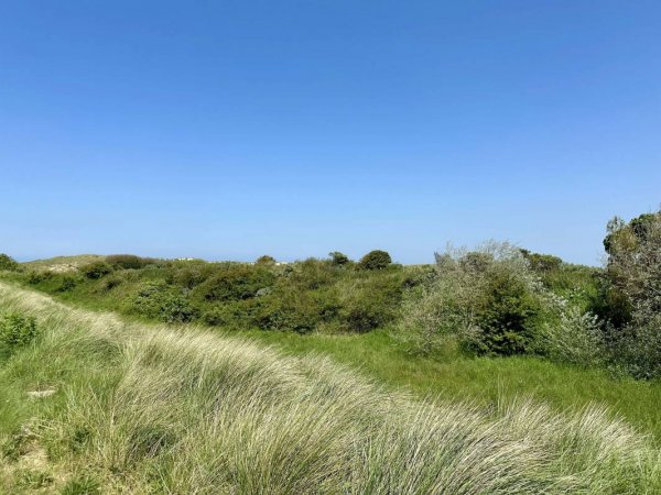 De Heide — Photo 4